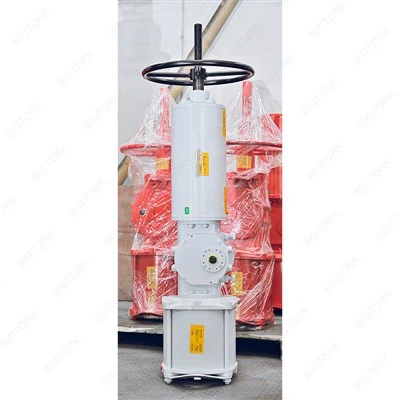 ตัวกระตุ้นการทำงานแบบคู่